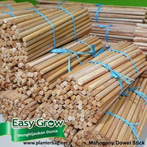 Dowel Wooden Stick