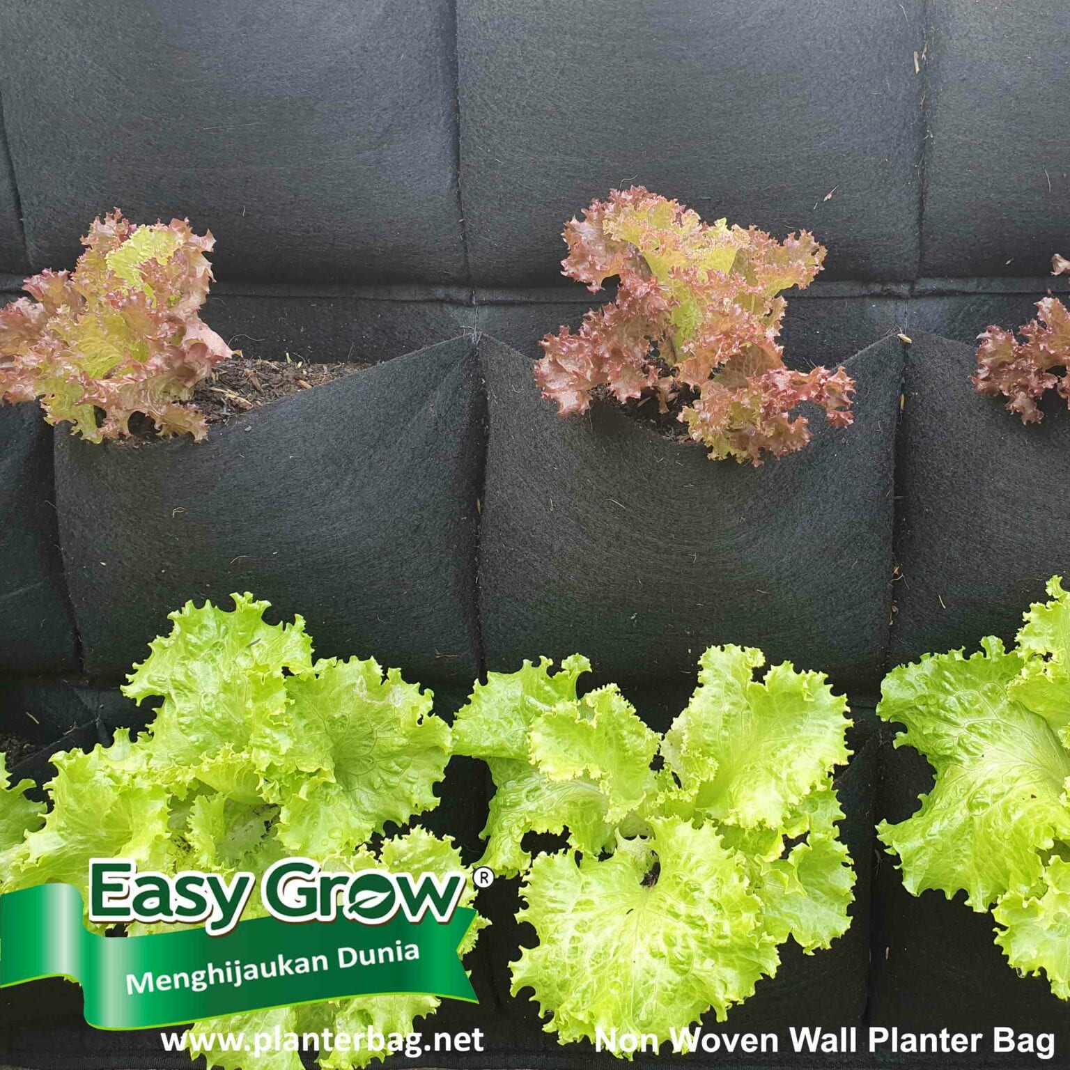 Easy Grow Wall Planter Bag Non Woven