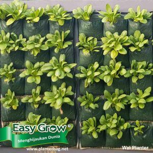Easy Grow Wall Planter