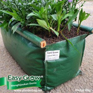 Easy Grow Hedge Bag