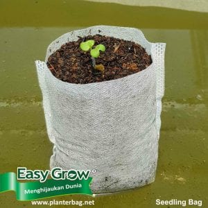Seedling Bag