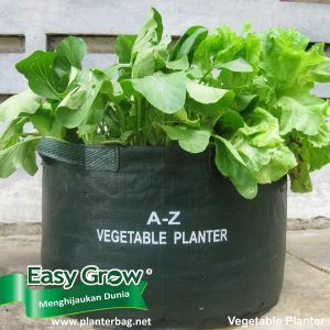 Easy Grow Raised Bed & Vegetable Planter Bag