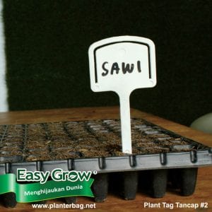 Plant Tag Tancap#2