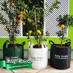 Easy Grow Planter Bag Standard