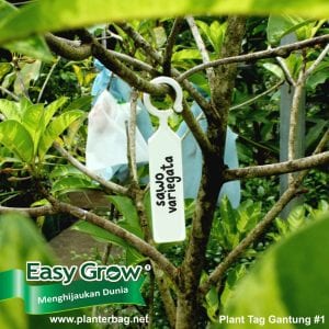 Plant Tag Gantung#1