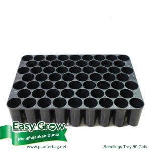 Seedlings Tray – 60 Cells