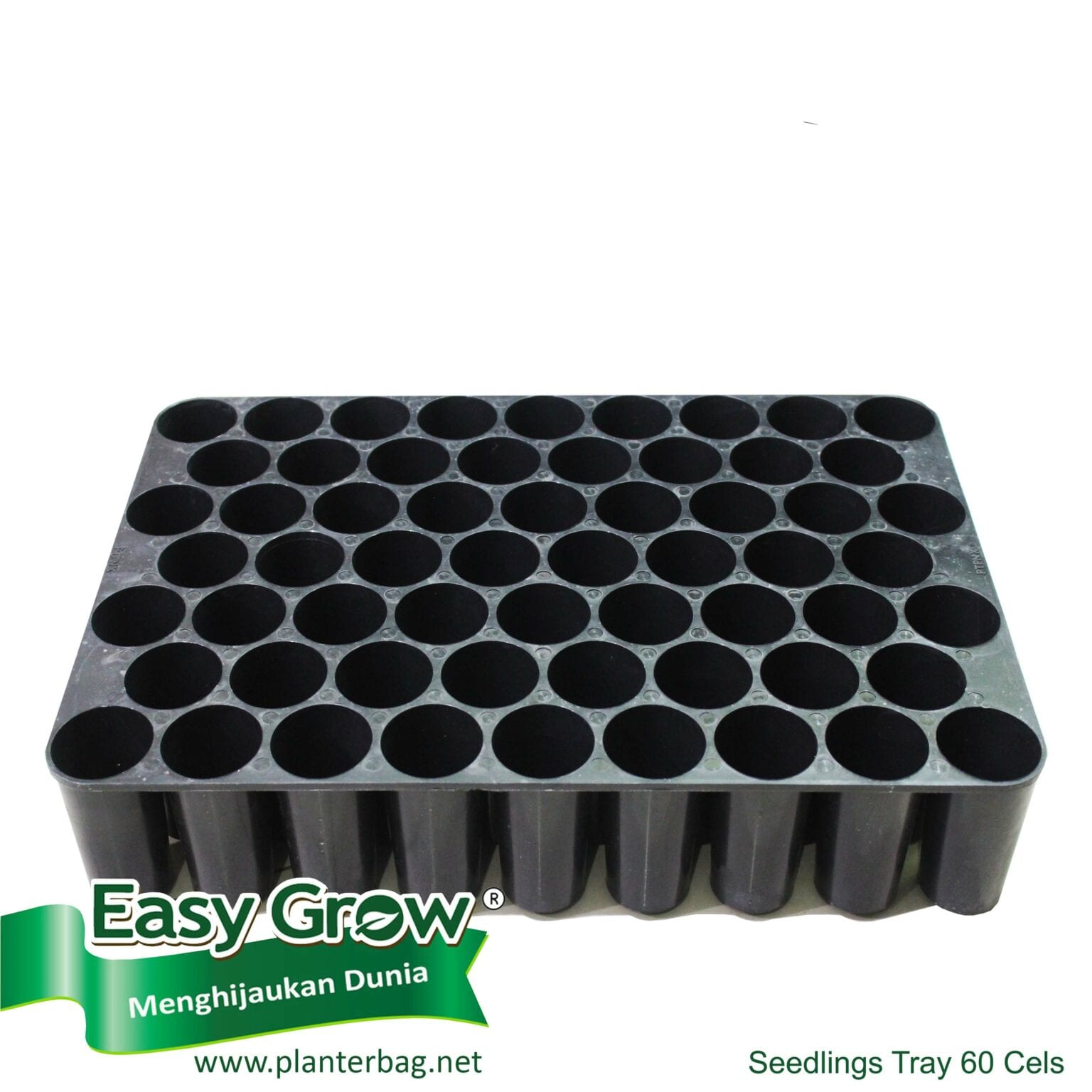 Seedlings Tray – 60 Cells