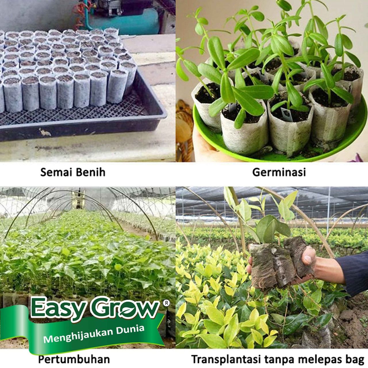 Seedling Bag - Gambar 4