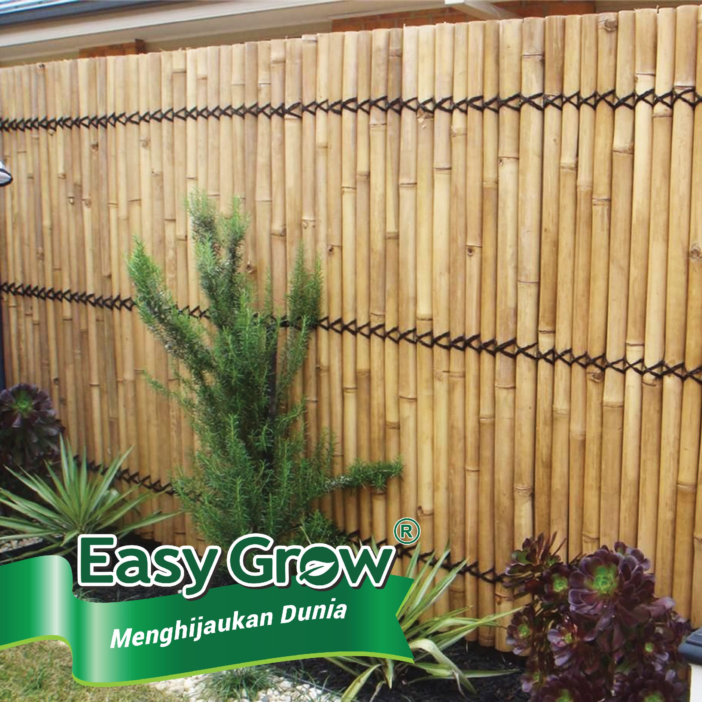 Half Raft Bamboo Panel - Imagen 5