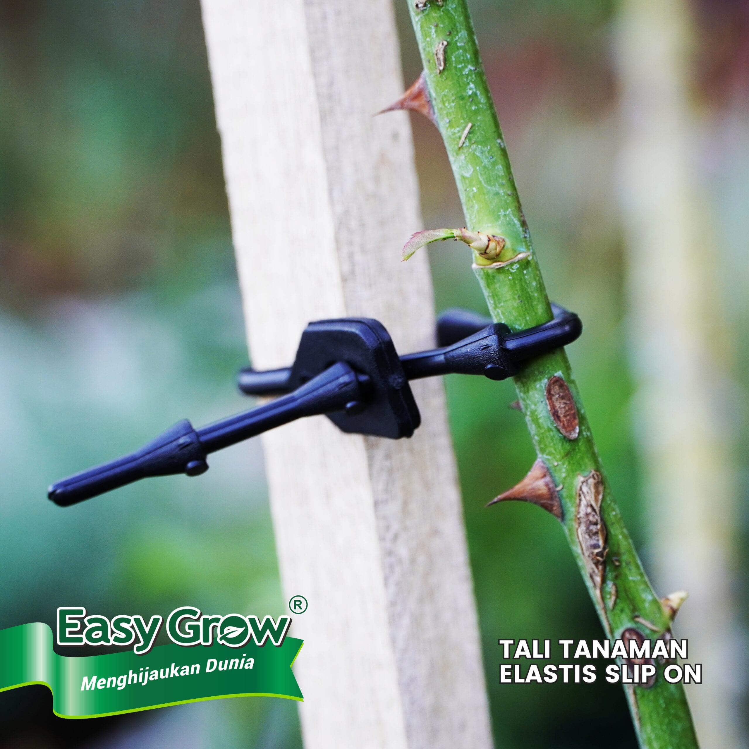 ⁦Rubber Tree Ties Slip on⁩ - الصورة ⁦2⁩