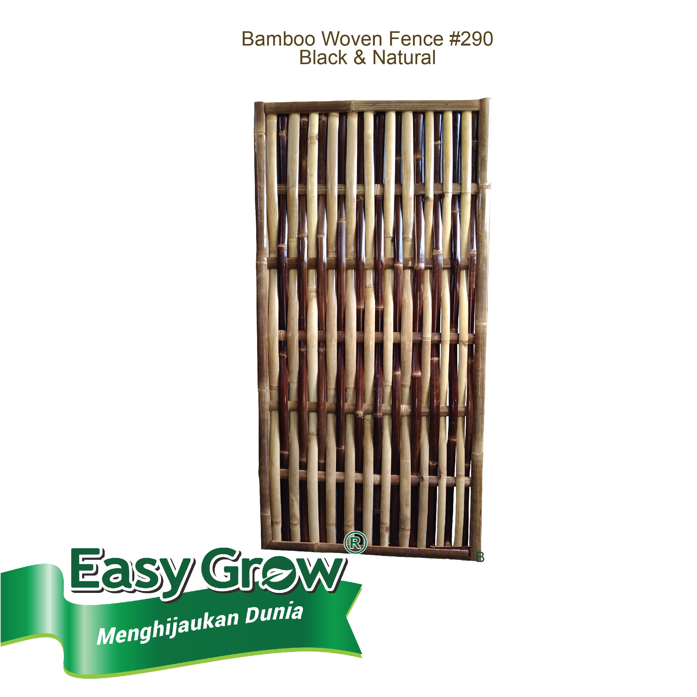 Bamboo Fence