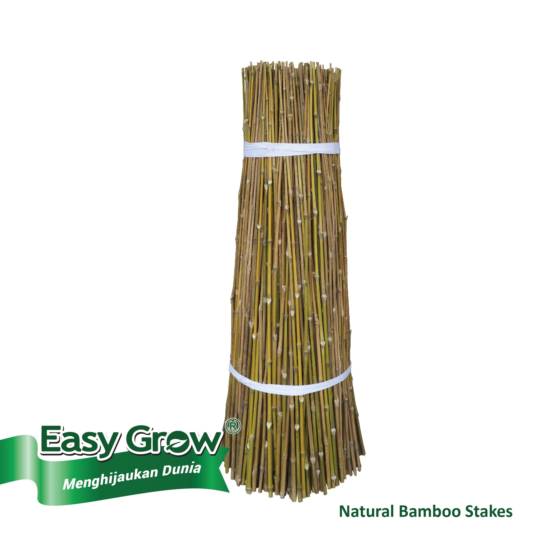 Bamboo Stakes