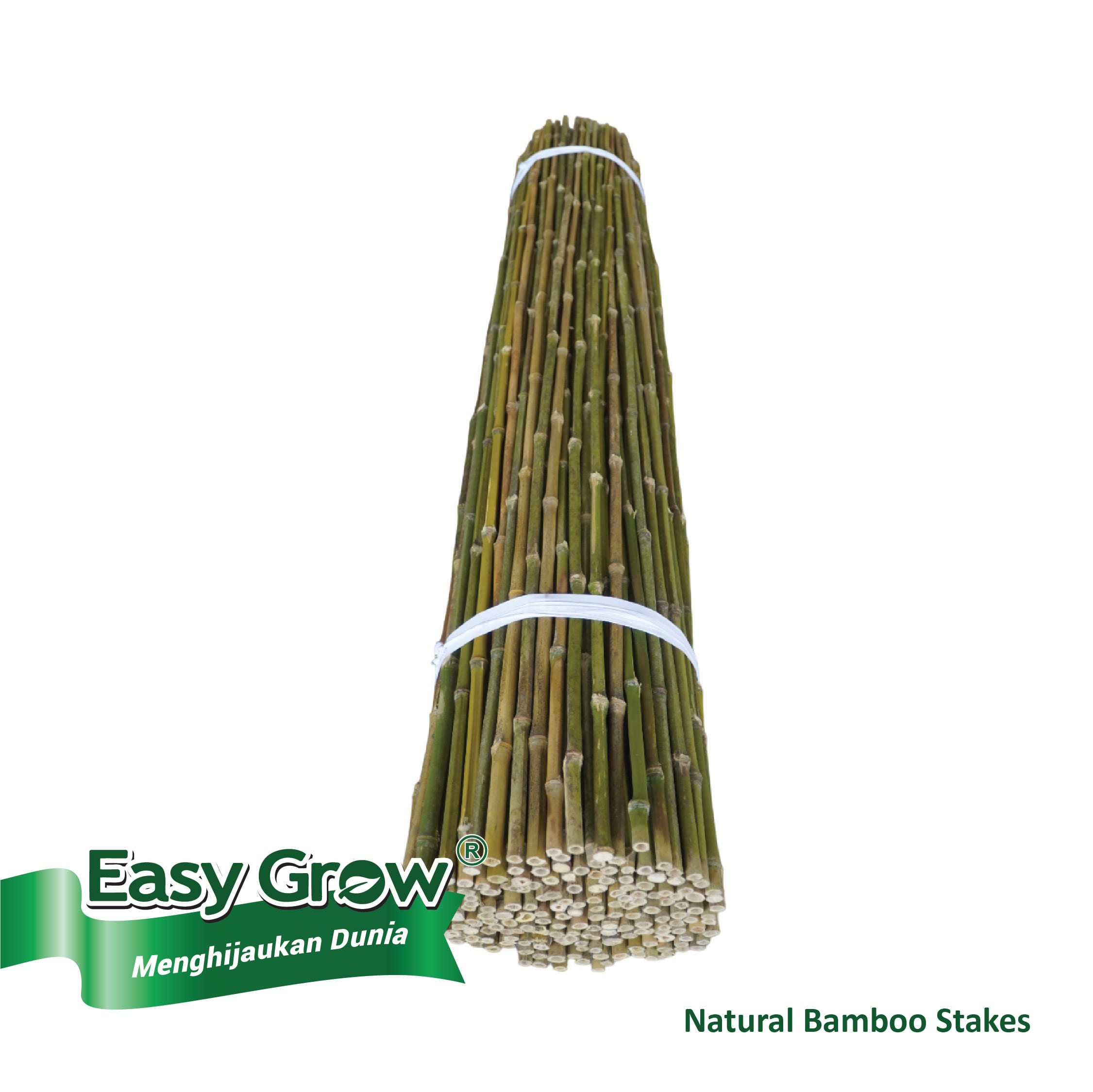 Bamboo Stakes - Image 2
