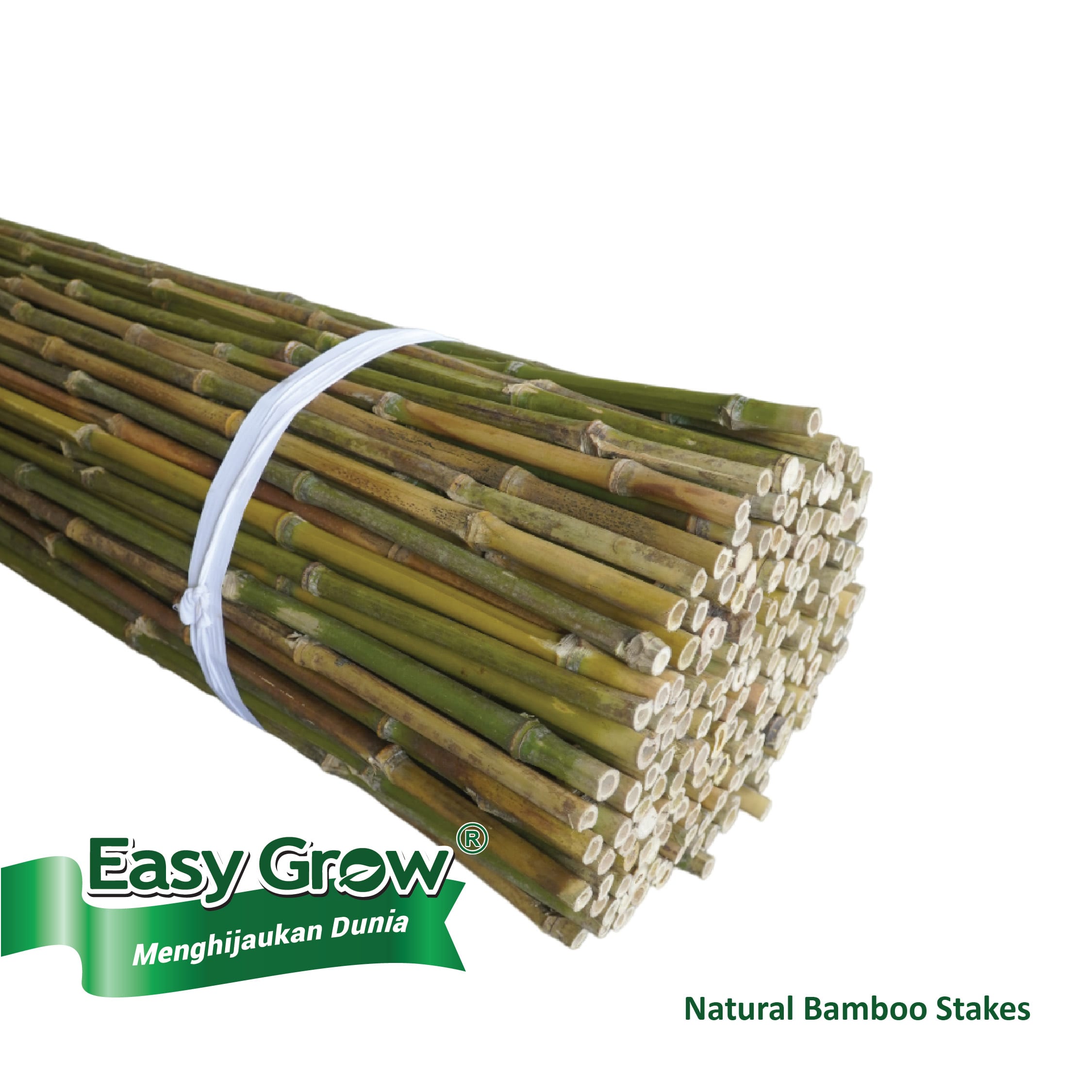 Bamboo Stakes - Image 4