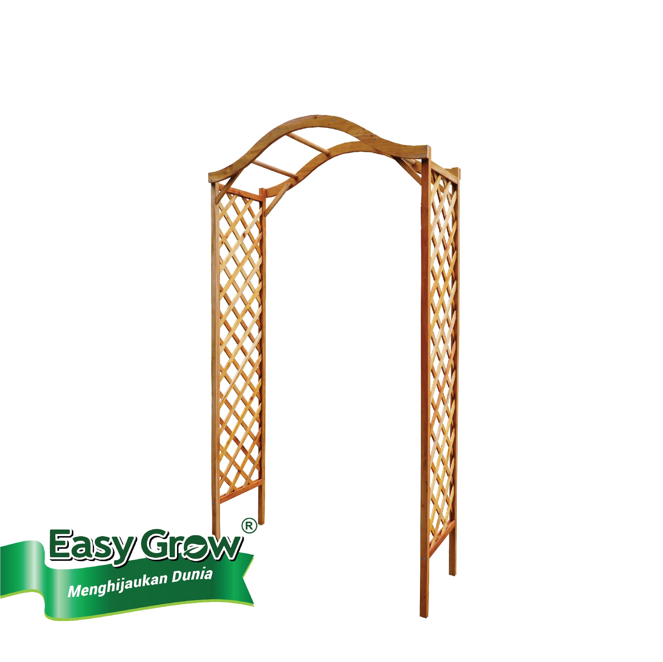 Timber Ach - Image 4