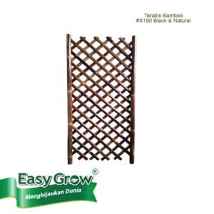Trellis Bamboo