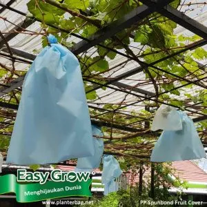 Fruit Cover