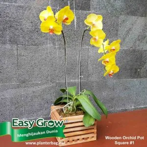 Wooden Orchid Basket