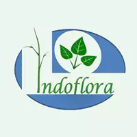 indoflora