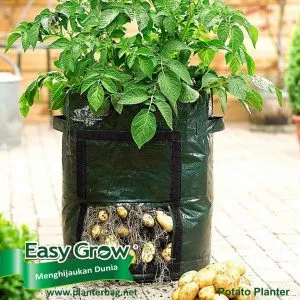 Easy Grow Rhizome & Potato Planter Bag