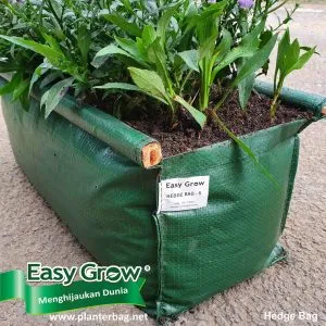 Easy Grow Hedge Bag