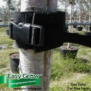 Tree Collar