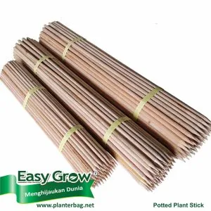Round Plant Stakes