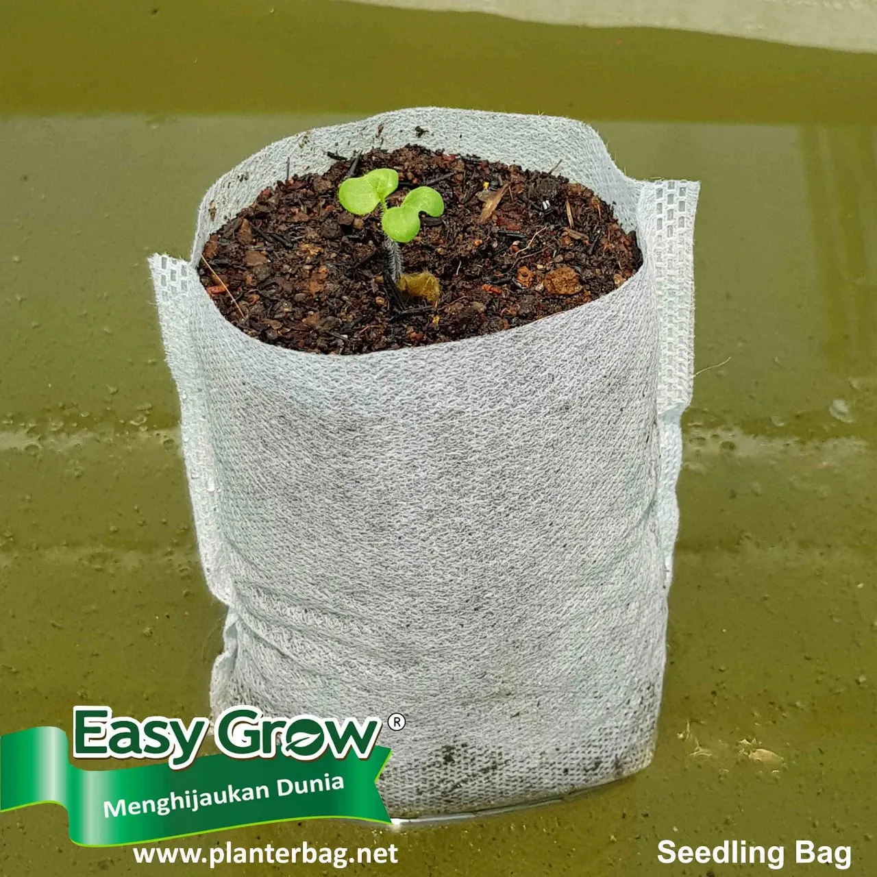 Seedling Bag - Imagen 6