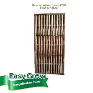 Bamboo Fence