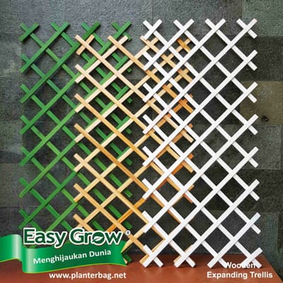 Expanding Trellis
