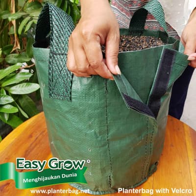 Easy Grow Planter Bag with Velcro or Zipper