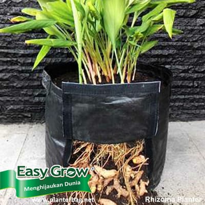 Easy Grow Rhizome & Potato Planter Bag - Image 2