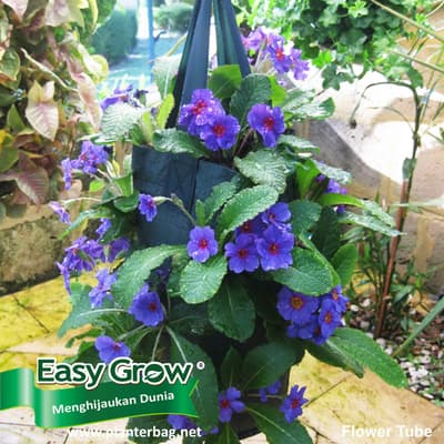 Easy Grow Flower Tube (Hanging Planter) - Image 2