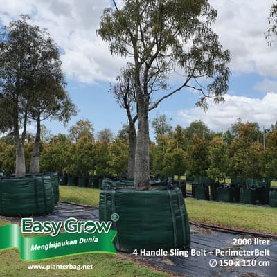 Easy Grow Planter Bag Standard - Gambar 4