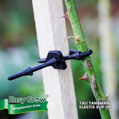 Rubber Tree Ties Slip on - Gambar 2