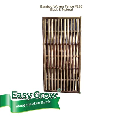 Bamboo Fence