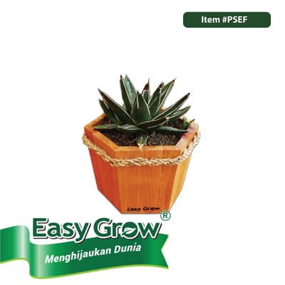 Wooden Pot - Image 9