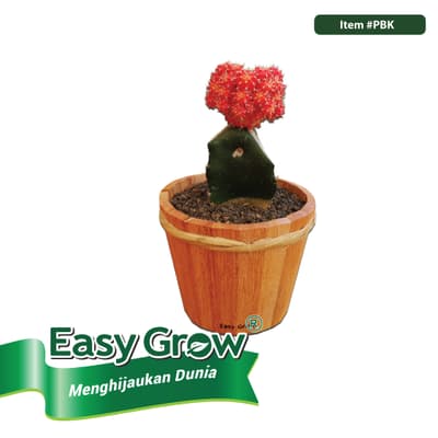 Wooden Pot - Image 10
