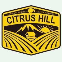 citrus